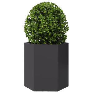 vidaXL Garden Planter Black Hexagon 46x40x45 cm Steel