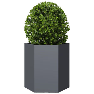 vidaXL Garden Planter Anthracite Hexagon 46x40x45 cm Steel