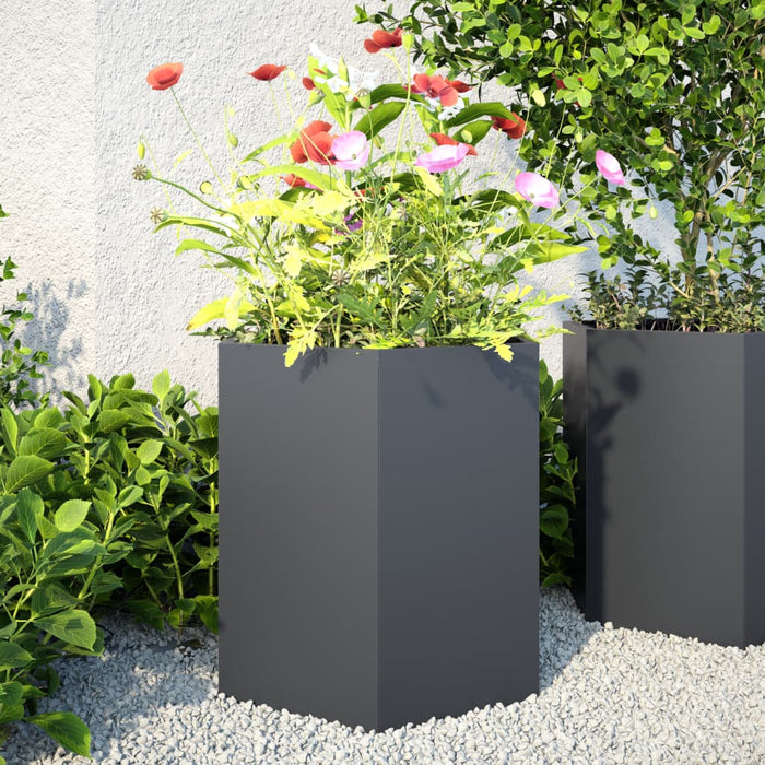 vidaXL Garden Planter 2 pcs Anthracite Hexagon 46x40x45 cm Steel