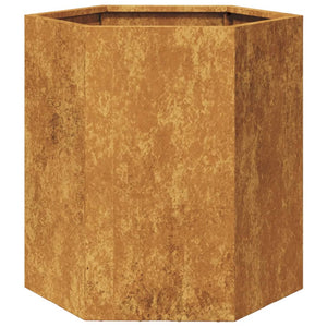 vidaXL Garden Planter 2 pcs Hexagon 46x40x45 cm Corten Steel