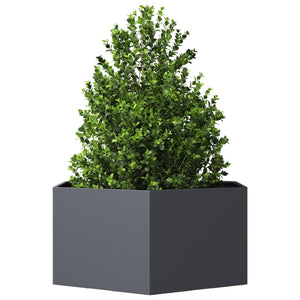 vidaXL Garden Planter Anthracite Hexagon 104x90x45 cm Steel