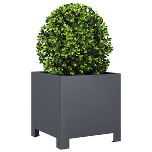 vidaXL Garden Planters 2 pcs Anthracite 30x30x30 cm Steel