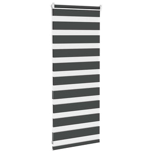 vidaXL Zebra Blind Black 60x100 cm Fabric Width 55.9 cm Polyester