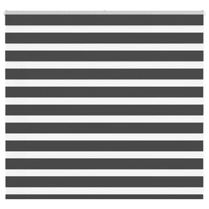 vidaXL Zebra Blind Black 155x100 cm Fabric Width 150.9 cm Polyester