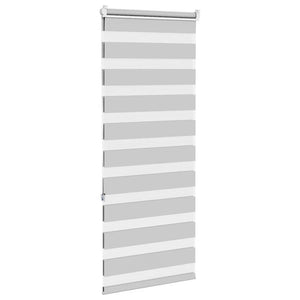 vidaXL Zebra Blind Light Grey 60x150 cm Fabric Width 55.9 cm Polyester