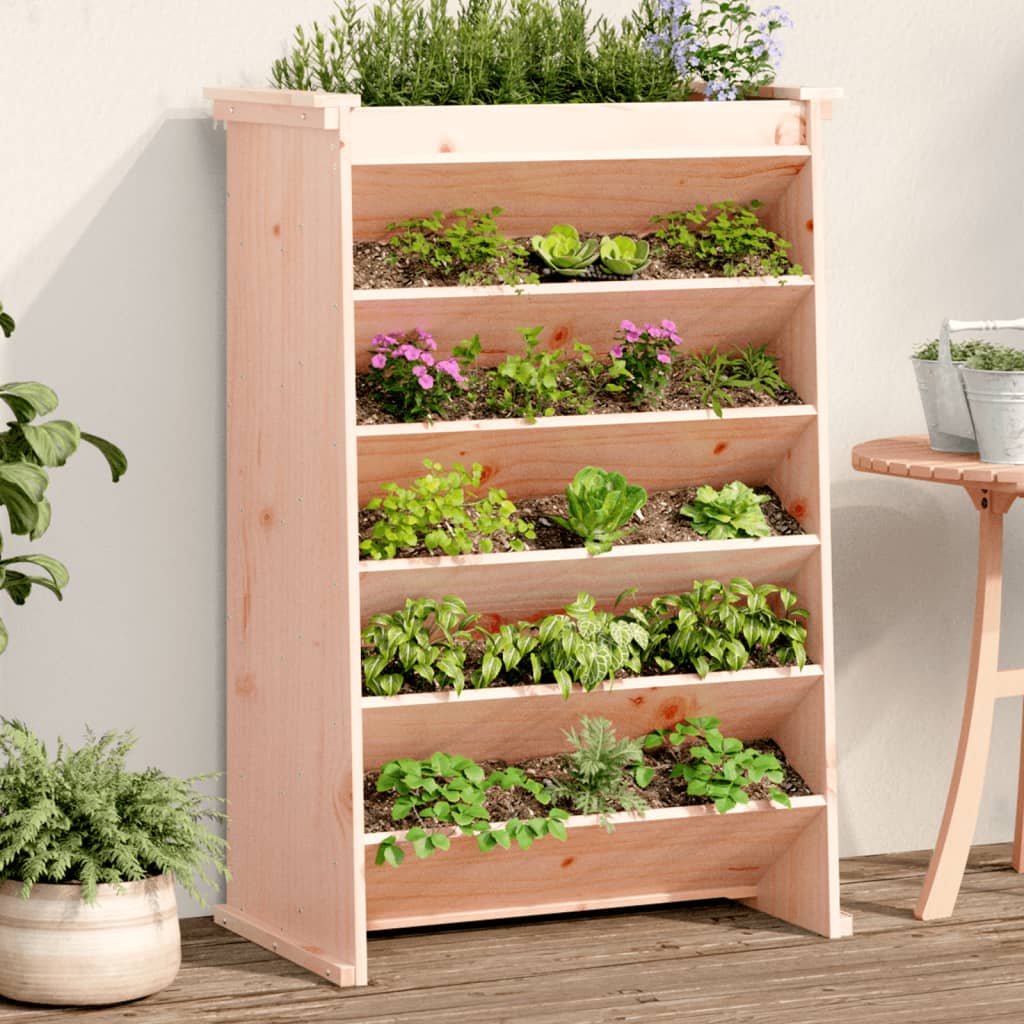 vidaXL Herb Planter 6-Tier 69x40x101.5 cm Solid Wood Douglas