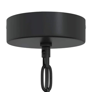 vidaXL Pendant Lamp E27 Black Ø 31 cm Iron