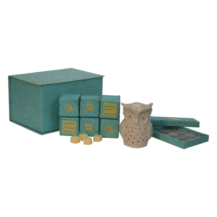 Owl Wax Melter Set (Fruit)