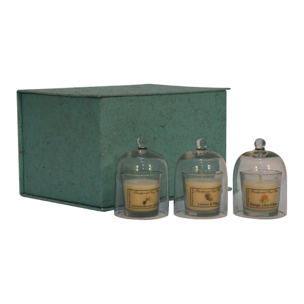 IN3267 - Round Candle Set of 3 (Orange, Lime & Basil, Honeysuckle & Jasmine, Lemon & Pine)