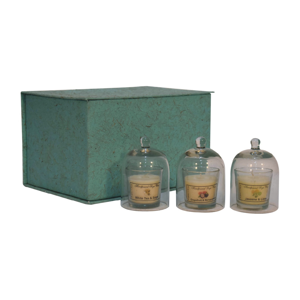 IN3268 - Round Candle Set of 3 (White Tea & Sage, Grapefruit & Mangosteen, Jasmine & Lime)