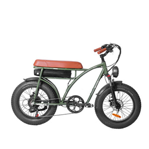 Electric Bike Adults 1000W Motor 48V 12.5AH Battery in Olive