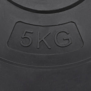 vidaXL Weight Plates 4 pcs 30 kg Cement