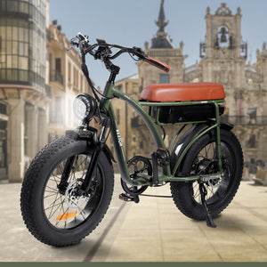 Electric Bike Adults 1000W Motor 48V 12.5AH Battery in Olive