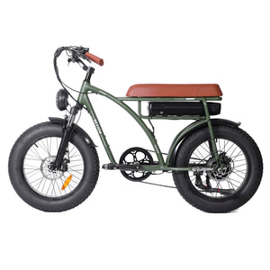 Electric Bike Adults 1000W Motor 48V 12.5AH Battery in Olive