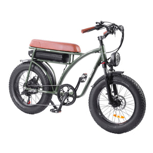 Electric Bike Adults 1000W Motor 48V 12.5AH Battery in Olive